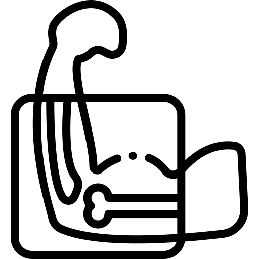 3x_ray.png