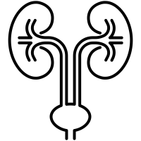 uro2.png